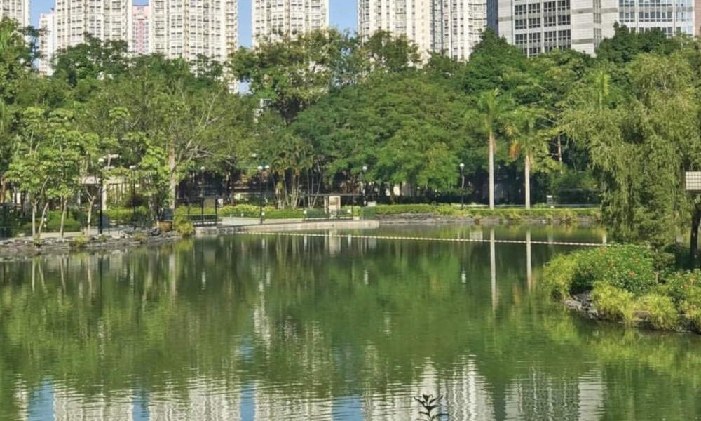 Park at Tin Shui Wai