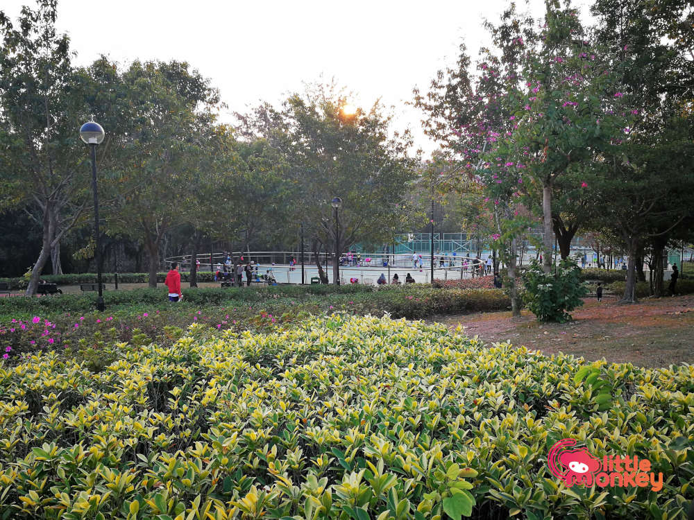 Lai Chi Kok Park's skateboarding area